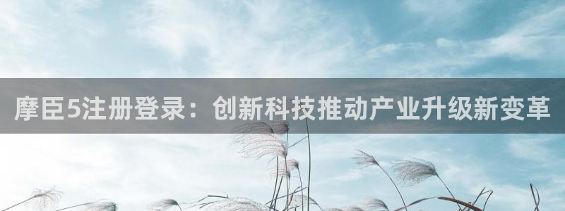 大发聚彩welcome