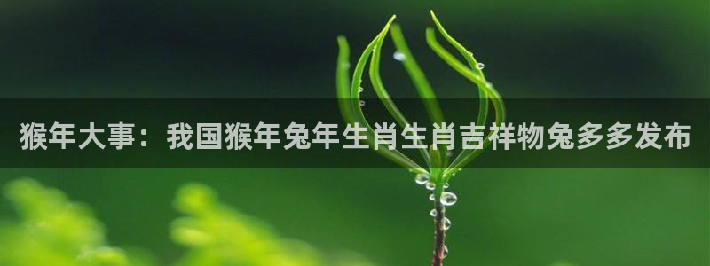 聚彩官方网站入口