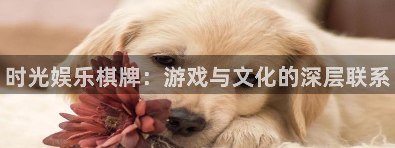 聚彩传媒