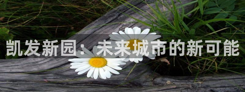 聚彩堂免费资料库入口