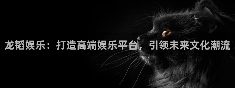云南聚彩印刷有限公司：龙韬娱乐：打造高端娱乐平台，引领未来文化潮流