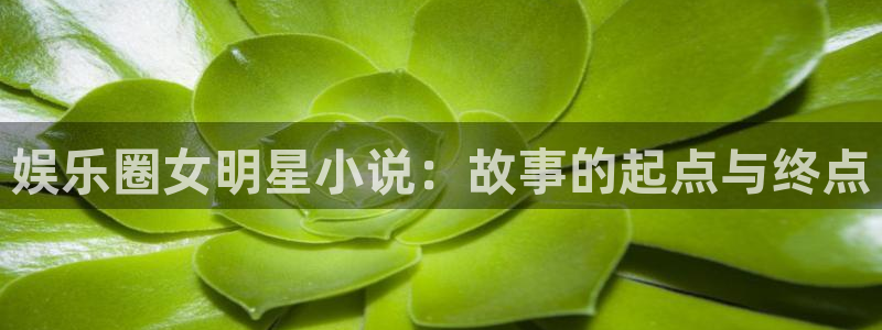 聚彩公司怎么样