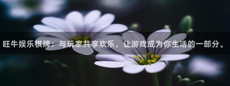 联合聚彩光电