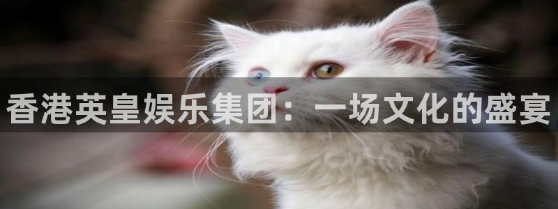聚彩院农家乐