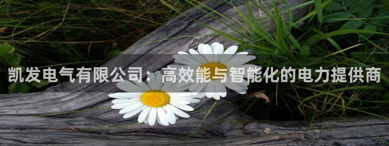 聚彩堂0149955.com开奖结果查询官网