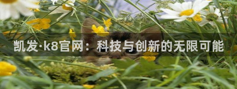 聚彩堂开奖结果查询