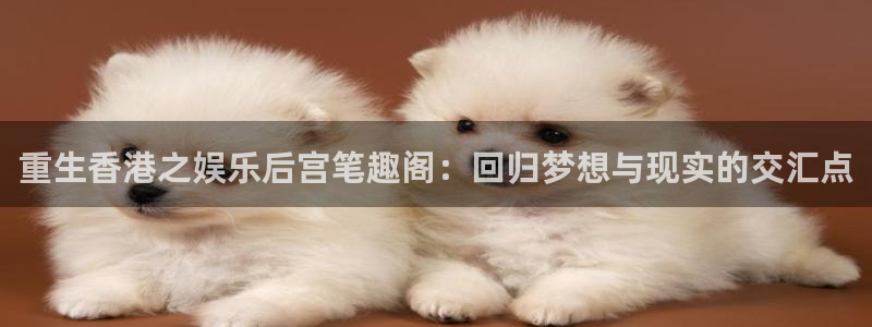 聚彩电子