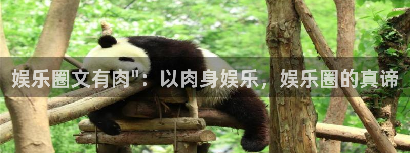 聚彩官网入口