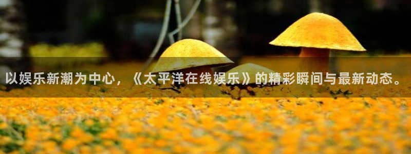 聚彩公司怎么样