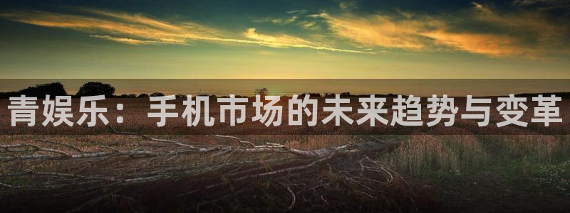 聚彩welcome怎么安装