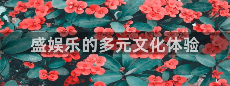 聚彩官网jc5