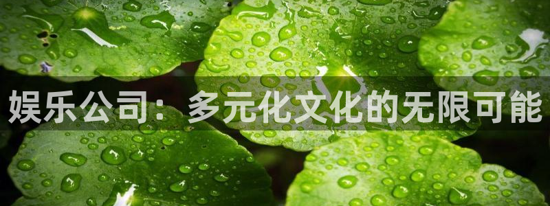 聚彩welcome怎么安装：娱乐公司：多元化文化的无限可能