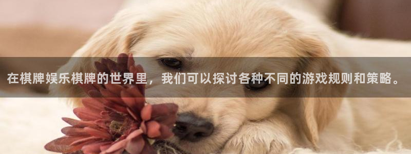 聚彩居三和酒楼：在棋牌娱乐棋牌的世界里，我们可以探讨各种不同的游戏规则和策略。