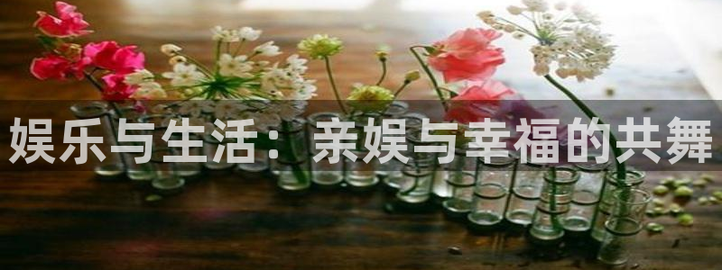聚彩堂资料澳门com：娱乐与生活：亲娱与幸福的共舞