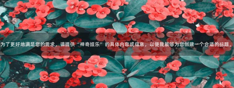 飞星聚彩：为了更好地满足您的需求，请提供“神奇娱乐”的具体内容或信息，以便我能够为您创建一个合适的标题。