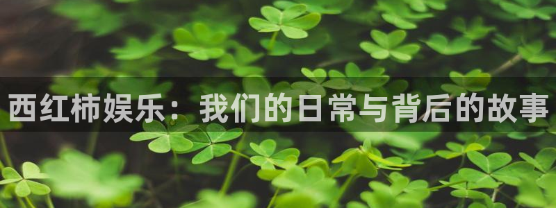 聚彩welcome大厅购彩：西红柿娱乐：我们的日常与背后的故事