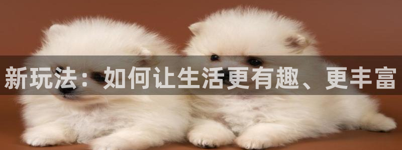 聚彩印务：新玩法：如何让生活更有趣、更丰富