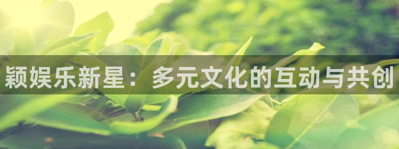 聚彩登录：颖娱乐新星：多元文化的互动与共创