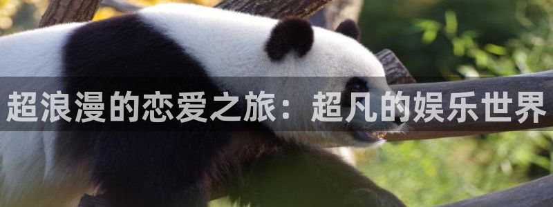 聚彩app官方入口：超浪漫的恋爱之旅：超凡的娱乐世界