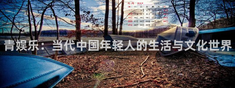 聚彩堂论坛：青娱乐：当代中国年轻人的生活与文化世界