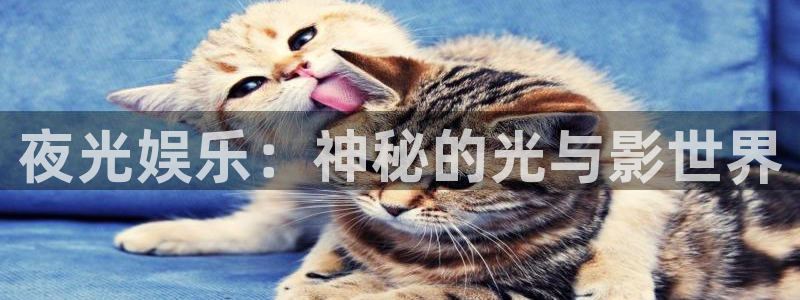 聚彩app官方入口：夜光娱乐：神秘的光与影世界